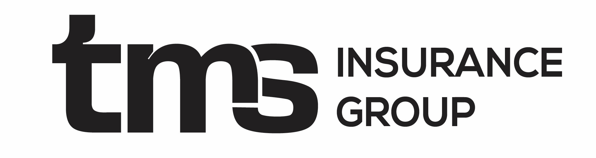 TMS Insurance Group Logo